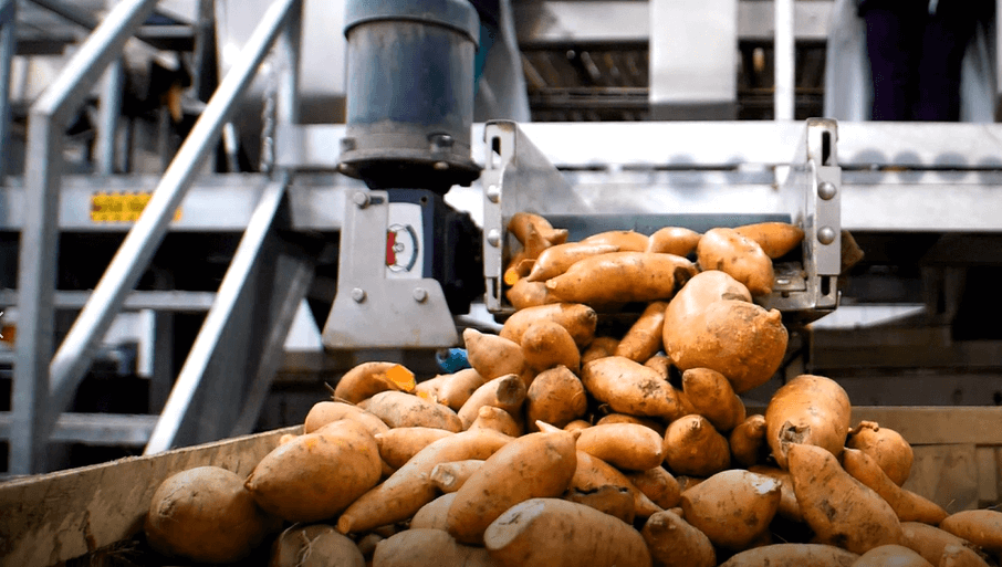 Farm Fresh | Commercial Case Study